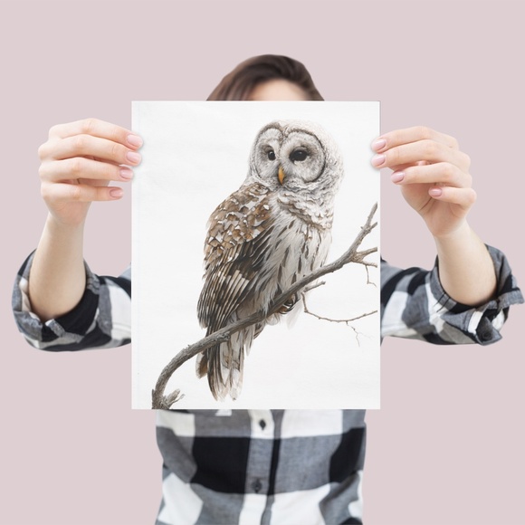 Watercolor Barred Owl Portrait Wall Art Print, Unframed - Mystical Woodland - Picture 4 of 6